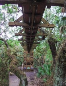 Myakka Canopy Walkway - Treehouses in United States