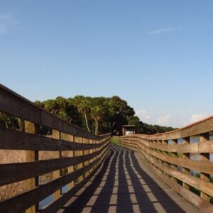 Myakka Canopy Walkway - Treehouses in United States