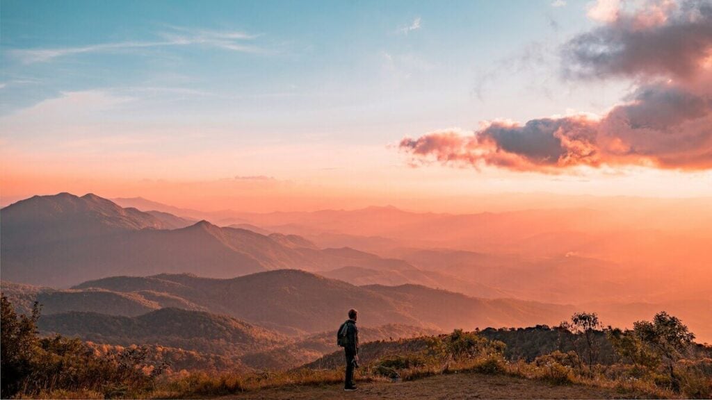 The Forest Bathing Trend: Best Places to Try Shinrin-Yoku Around the World - Treehouses in