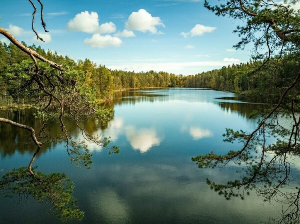 The Forest Bathing Trend: Best Places to Try Shinrin-Yoku Around the World - Treehouses in