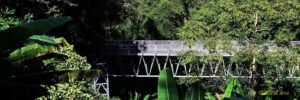 Queen Sirikit Botanic Garden Canopy Walkway - Treehouses in Thailand