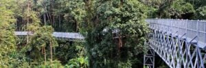 Queen Sirikit Botanic Garden Canopy Walkway - Treehouses in Thailand