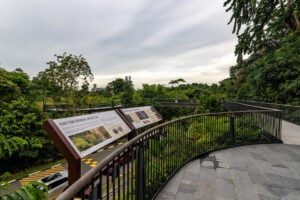 SPH Walk of Giants - Treehouses in Singapore