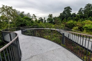 SPH Walk of Giants - Treehouses in Singapore