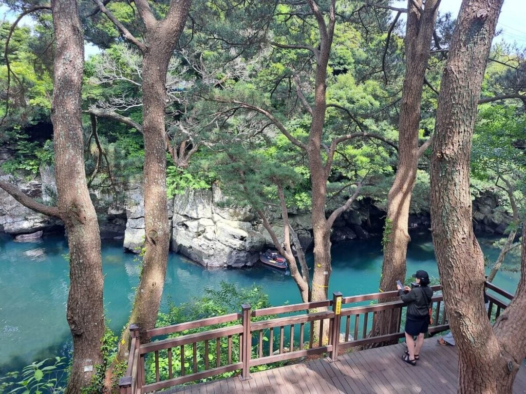 The Forest Bathing Trend: Best Places to Try Shinrin-Yoku Around the World - Treehouses in
