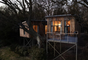 Treehouses at Leckie - Treehouses in United Kingdom