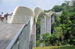 Southern Ridges Forest Walk - Treehouses in Singapore
