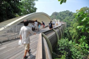 Southern Ridges Forest Walk - Treehouses in Singapore