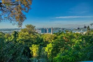 Southern Ridges Forest Walk - Treehouses in Singapore