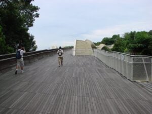 Southern Ridges Forest Walk - Treehouses in Singapore