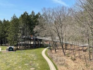 Whiting Forest of Dow Gardens Canopy Walk - Treehouses in United States