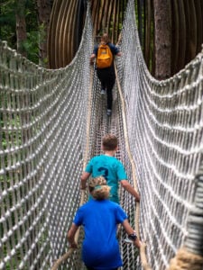 Whiting Forest of Dow Gardens Canopy Walk - Treehouses in United States