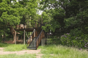 Treehouses at Leckie - Treehouses in United Kingdom