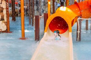 Great Wolf Lodge - Treehouses in United States