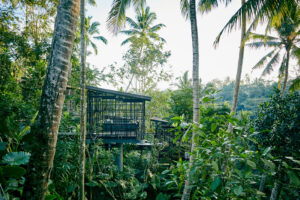 Café Gazebo at HOSHINOYA Bali - Treehouses in Bali