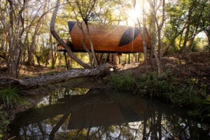 ONERA Fredericksburg - Treehouses in