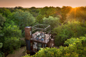 Ngala Treehouse - Treehouses in South Africa