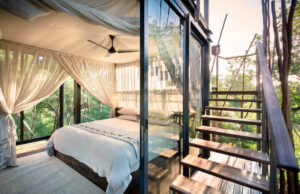 Ngala Treehouse - Treehouses in South Africa