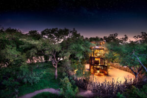 Ngala Treehouse - Treehouses in South Africa