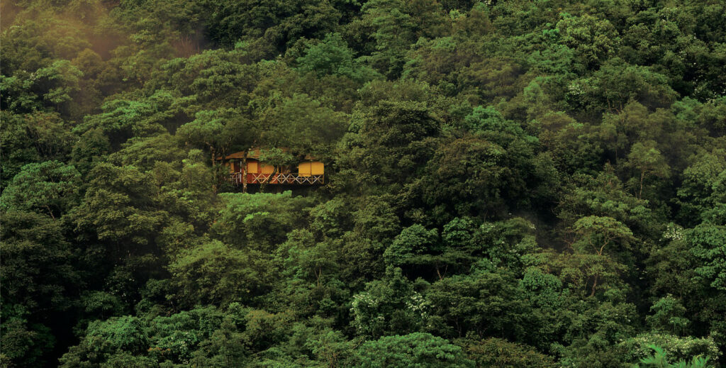 Vythiri Resort Wayanad - Treehouses in India