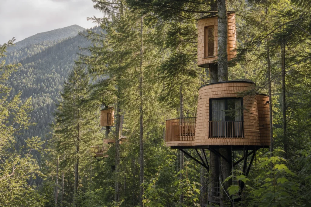 treehouse accommodation surrounded by trees at Pigna in Italy