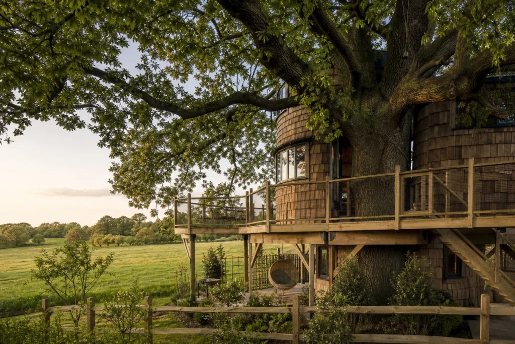The Old Oak at Coleman's Farm - Treehouses in United Kingdom